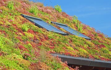 Shillmoor living roof systems