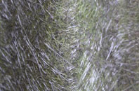 Shillmoor fibreglass roof work